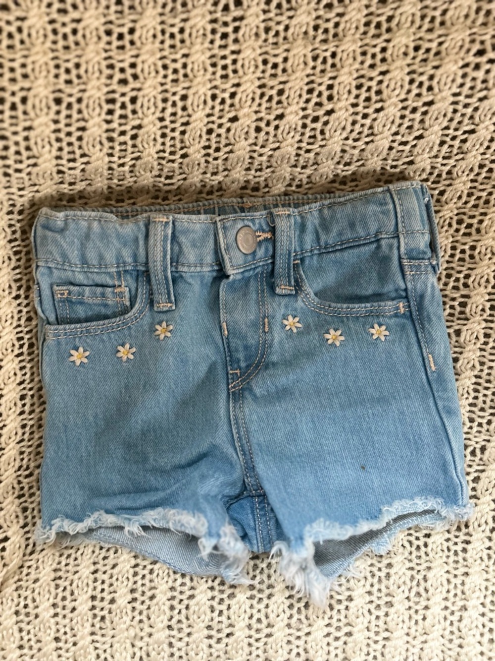Denim Shorts with Daisy Embroidery